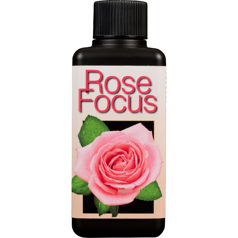 Rose Focus 300ml - výprodej