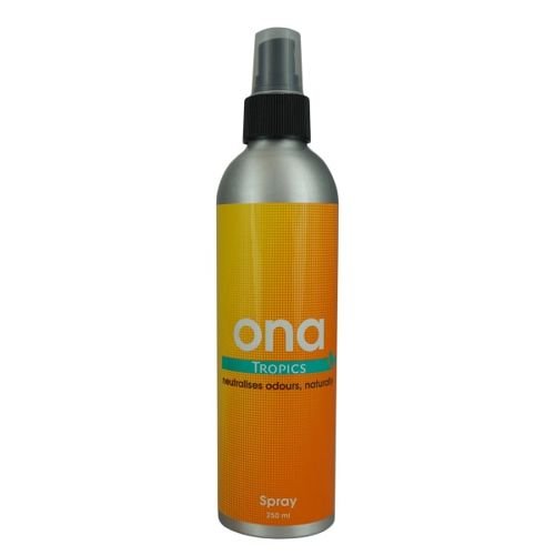 ONA Spray 250ml - Variant: Fruit Fusion