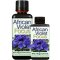 African Violet Focus 300ml - výprodej