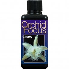Orchid Focus Grow - výprodej