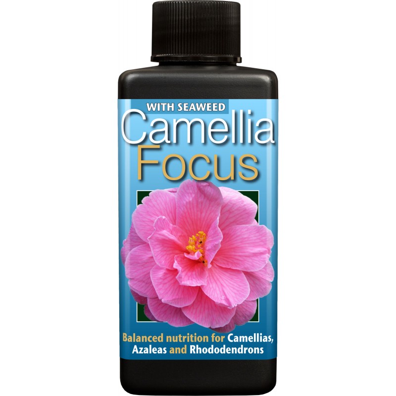 Camellia Focus 300ml - výprodej